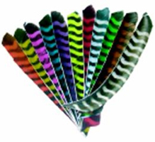 Barred Naturfedern