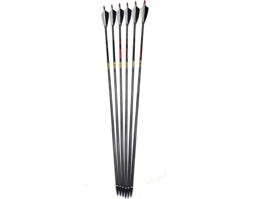 Goldtip Hunter 500 Karbonpfeil mit 4 Schild Befiederung in Schwarz / Weiss