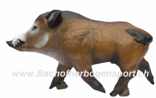 3D SRT laufendes Wildschwein