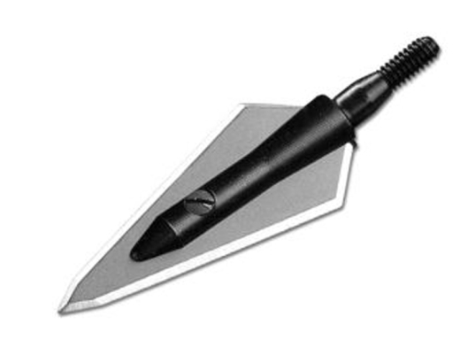 Magnus Spitze KillerBee 2-Blade 125grains