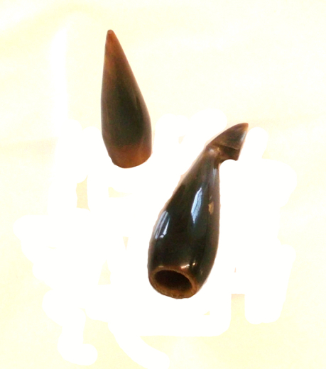 XTreme Bogensport Horn Tips