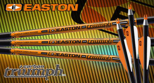 Easton Triumph Carbon/Alu Schaft