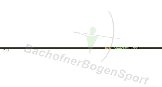 Gold Tip XT Hunter Schaft