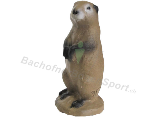 3Di Prairie Dog