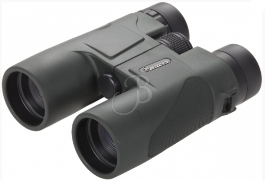 39 Optics 8x42 Fernglas