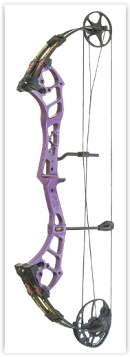 PSE Stinger Max SS Compound Bogen