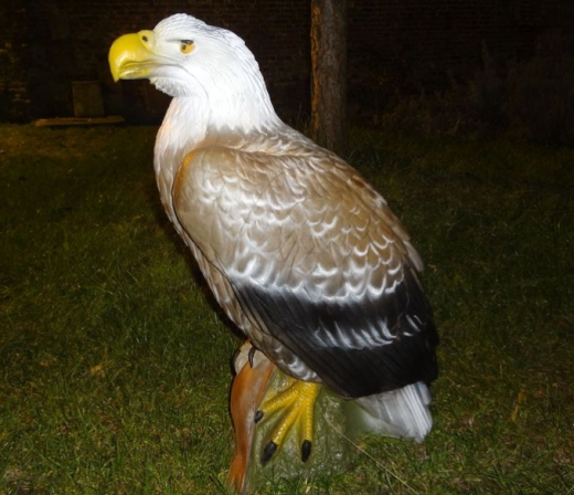 Naturfoam Weisskopf Steinadler 3D-Tier