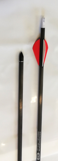 Gold Tip Warrior 400 Carbonpfeil mit Blazer Kunststoffbefiederung