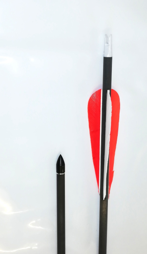Gold Tip Warrior 400 Carbonpfeil mit Naturbefiederung