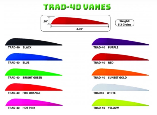 Arizona AAE Trad-40 Vanes 50/Pack