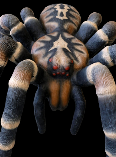 Leitold Vogelspinne 3D-Tier Zielscheibe