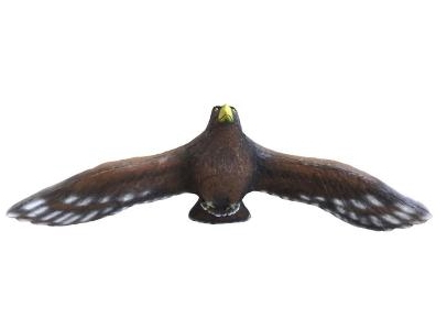 Leitold Steinadler fliegend 3D-Tier Gruppe 1