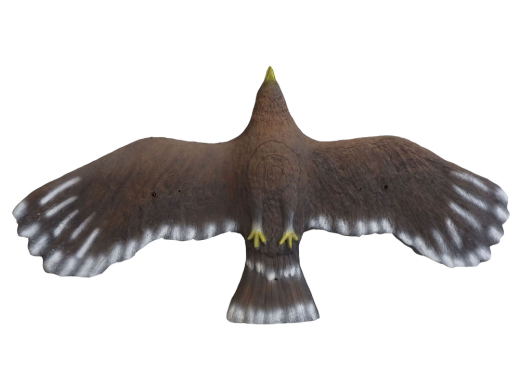 Leitold Steinadler fliegend 3D-Tier Gruppe 1