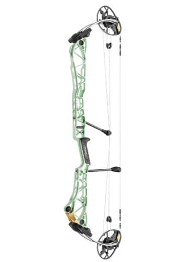 MATHEWS 2025 TITLE 40