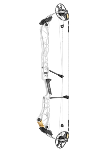 MATHEWS 2025 TITLE 40