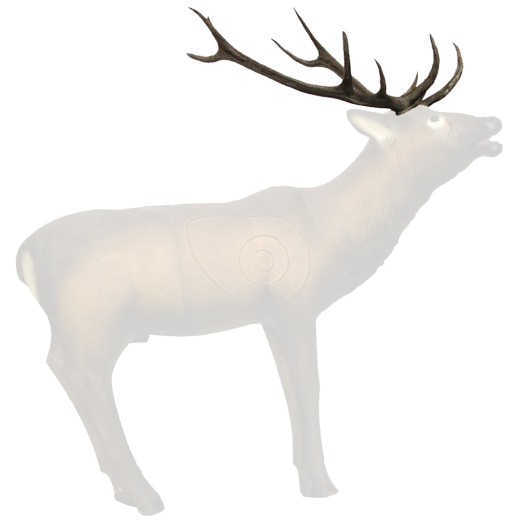 3D SRT Geweih Rothirsch