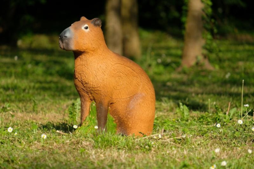 SRT Capibara Cho 3D-Ziel G3/4