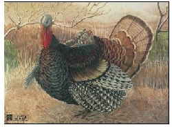 Zielscheiben Tierbild Auflage Truthan