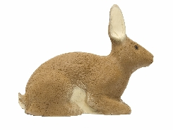 3D SRT Kaninchen