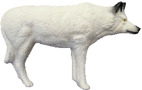 3D SRT Weisser Wolf