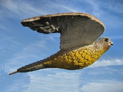 Franzbogen fliegender Wanderfalke 3D Tier Zielscheibe
