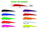 Arizona AAE Trad-40 Vanes 50/Pack