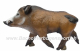3D SRT laufendes Wildschwein