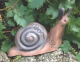 Leitold 3D Target Schnecke