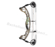 Hoyt Torrex Compound Bogen XT