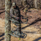 Summit Titan SD ALU 11kg Treestand Klettersitz Max. 150 kg inkl. Sicherheitstragegurt