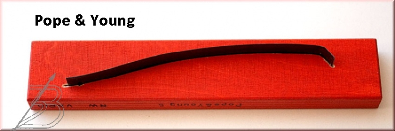 Formeinsatz fr Vario Clipper