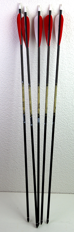 Karbonpfeil Goldtip 5575 Expedition