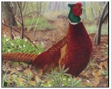 Zielscheiben Tierbild Auflage Fasan