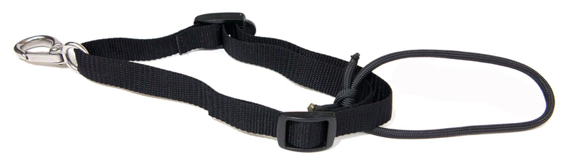 Astra Shot Trainer Size 2 Large