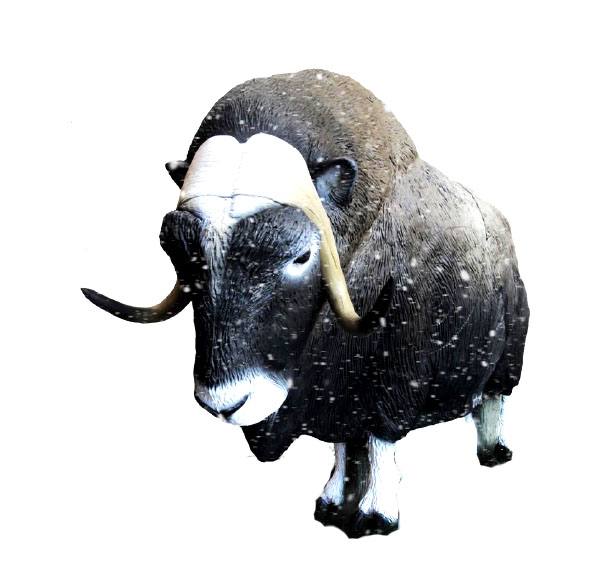 SRT Moschusochse 3D-Tier Zielscheibe