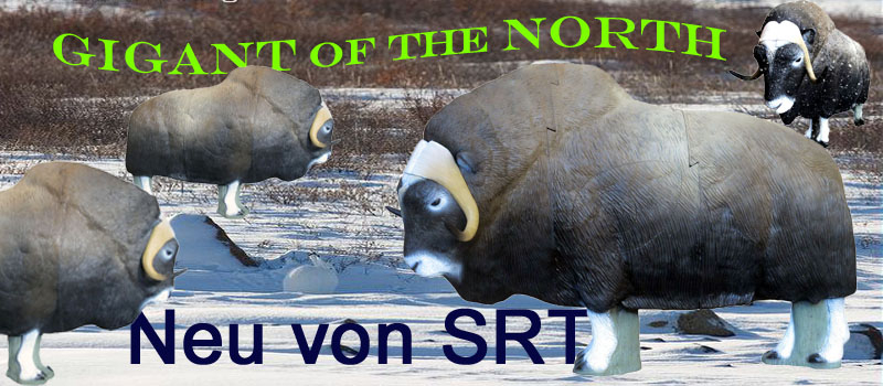SRT Moschusochse 3D-Tier Zielscheibe