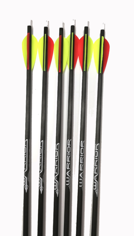 Gold Tip Warrior 400 Carbonpfeil 30 EP26