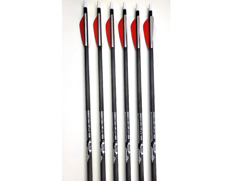 Gold Tip Warrior 600 Carbonpfeil 29 mit Kunststoffvanes EP26 in Rot und Weiss
