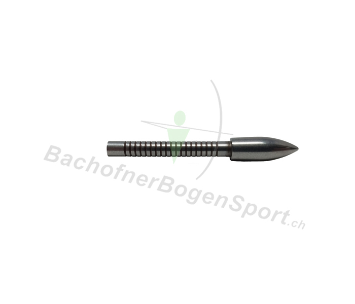 Victory VXT SS Bullet Einklebspitze 80grains