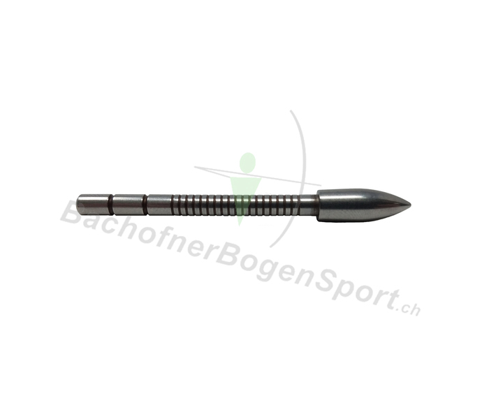 Victory VXT SS Bullet Einklebspitze 80grains