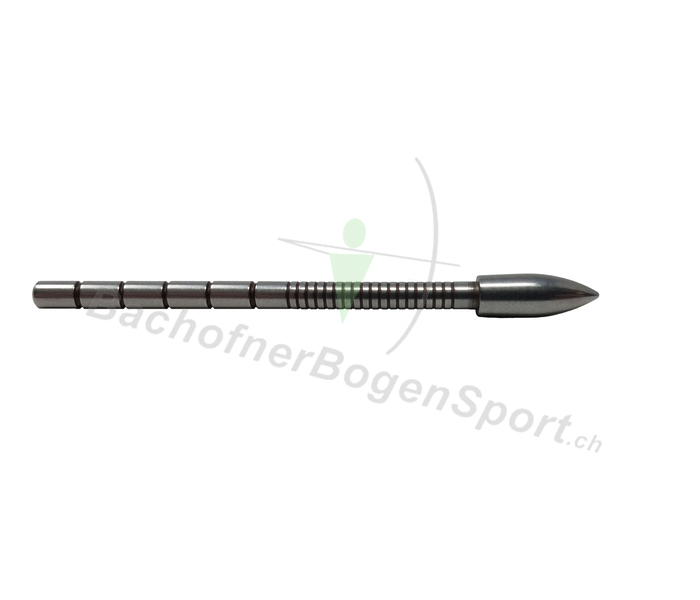 Victory VXT SS Bullet Einklebspitze 80grains