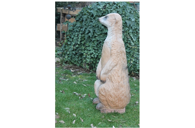 Franzbogen Erdmnchen 3D-Tier