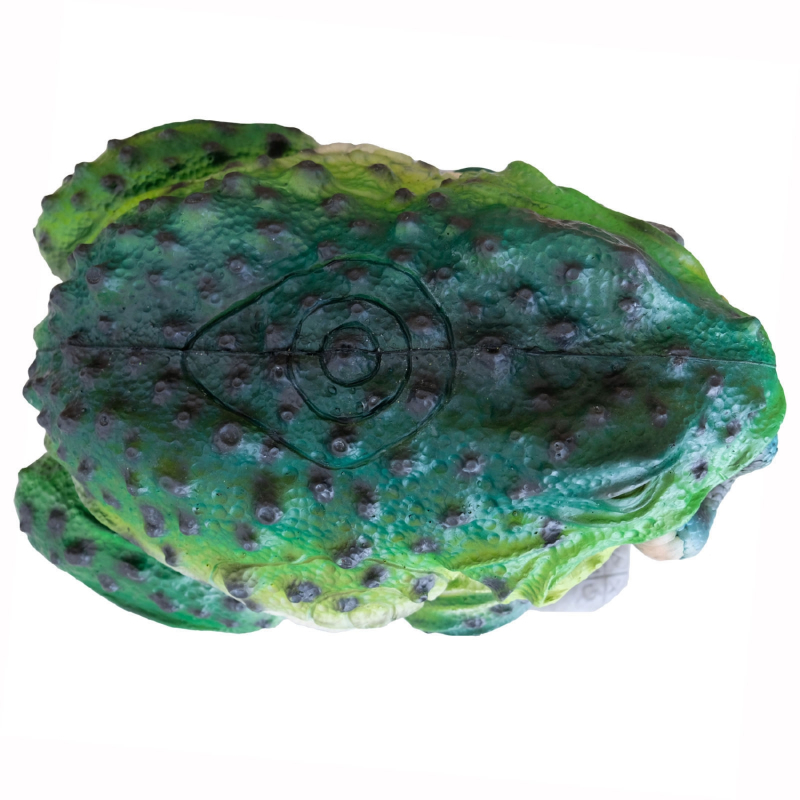 Leitold Snakeater 3D-Tier  Zielscheibe