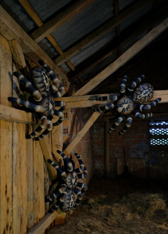 Leitold Vogelspinne 3D-Tier Zielscheibe