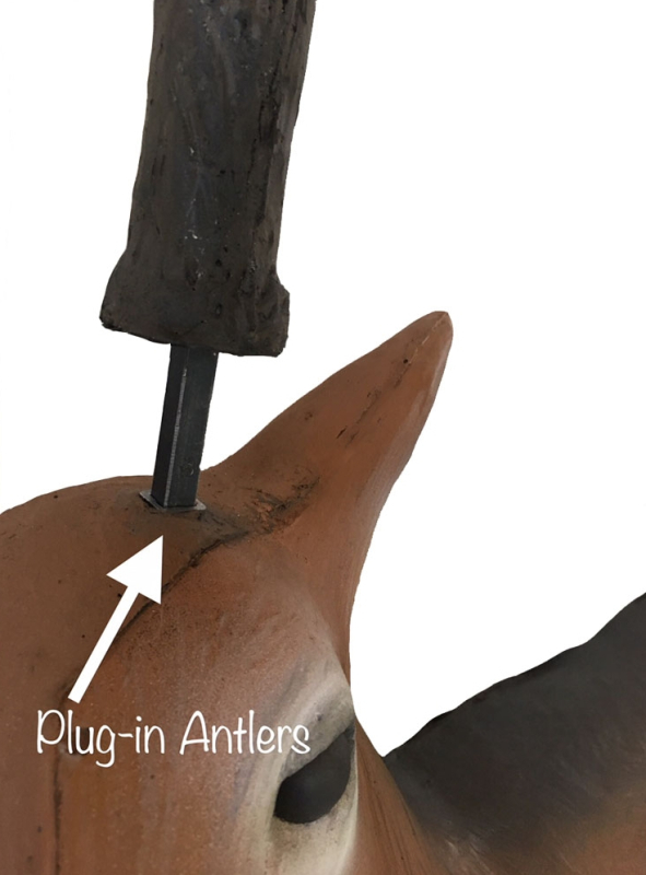 Leitold junger Weisswedelhirsch 3D-Tier