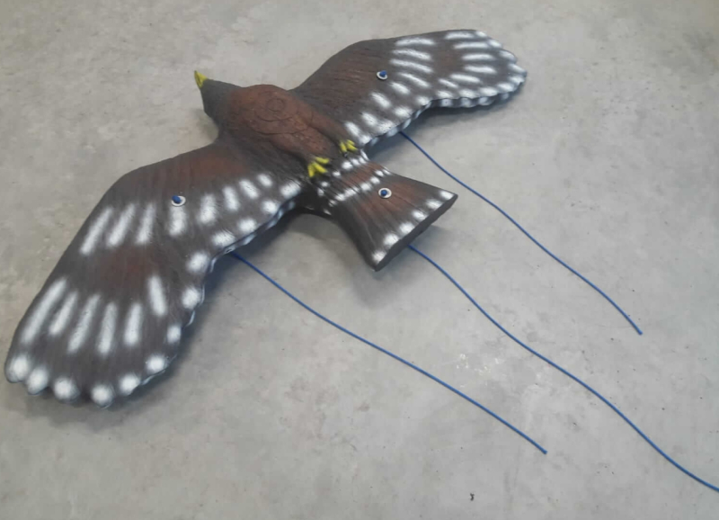 Leitold Steinadler fliegend 3D-Tier Gruppe 1