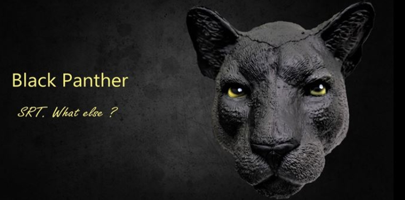 SRT schwarzer Panther