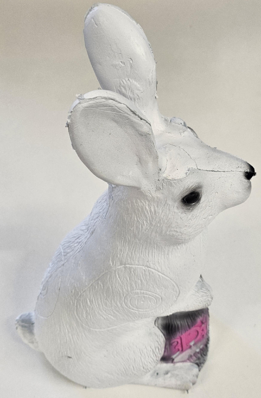 3Di Hase sitzend 3D-Tier