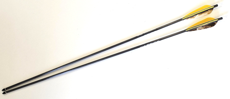 Gold Tip Warrior 600 Carbonpfeil mit 4 Schild Naturfeder