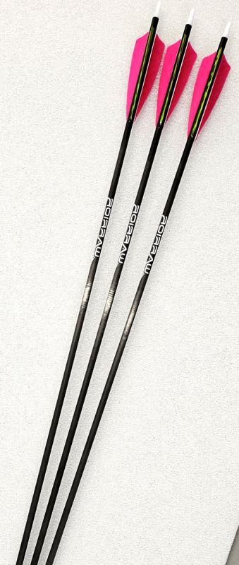 Gold Tip Warrior 700 Carbonpfeil mit 4 Schild Naturfedern